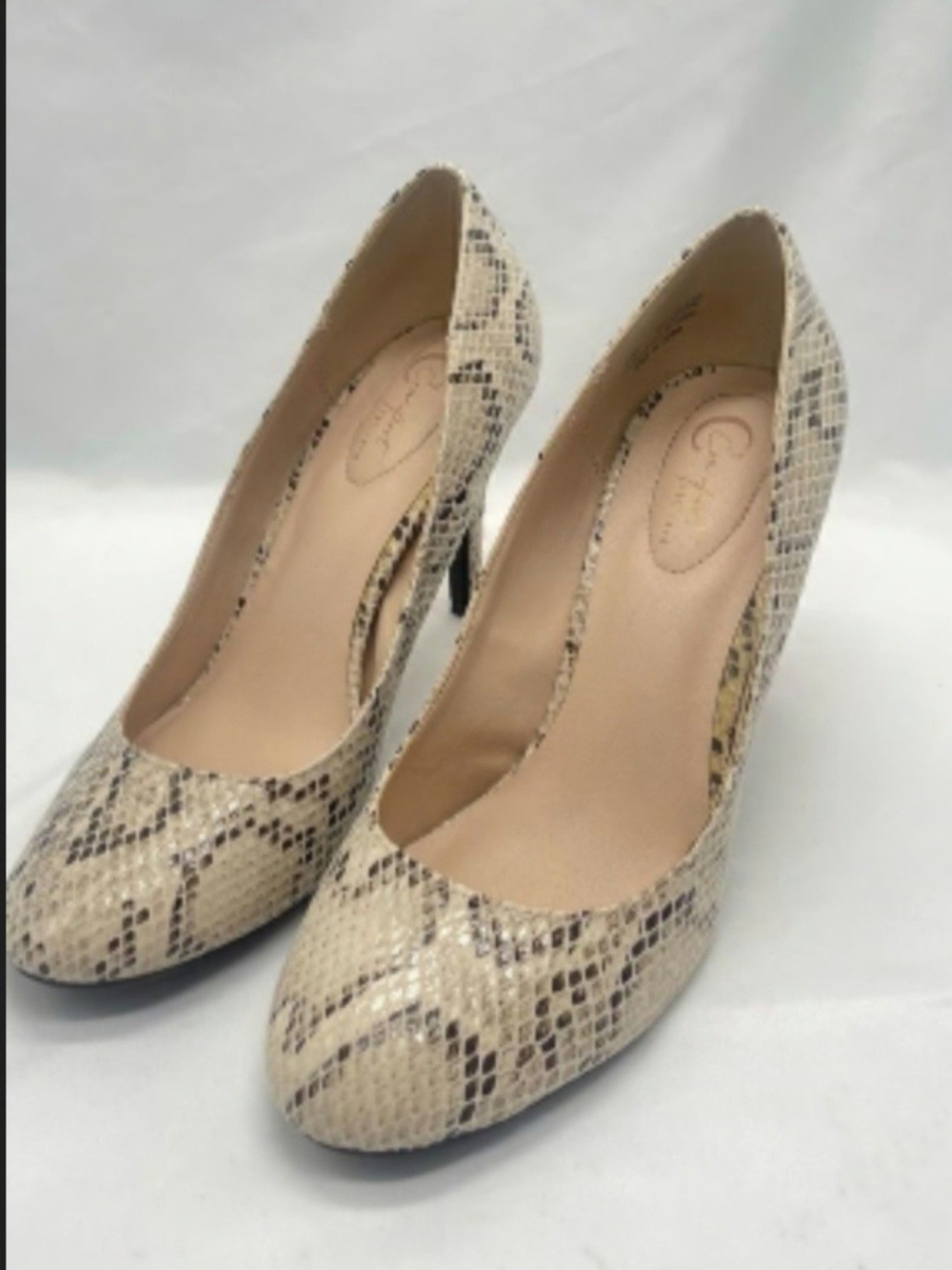 Beige Snake-Print Pointed Toe Pumps - Women's Dress Heels